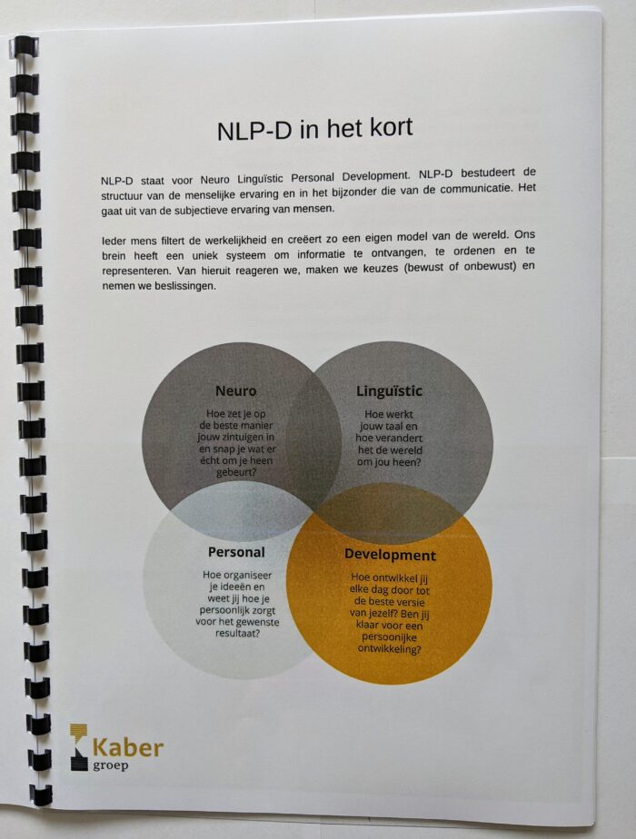 Ebook De Beslissing inhoud NLP-D